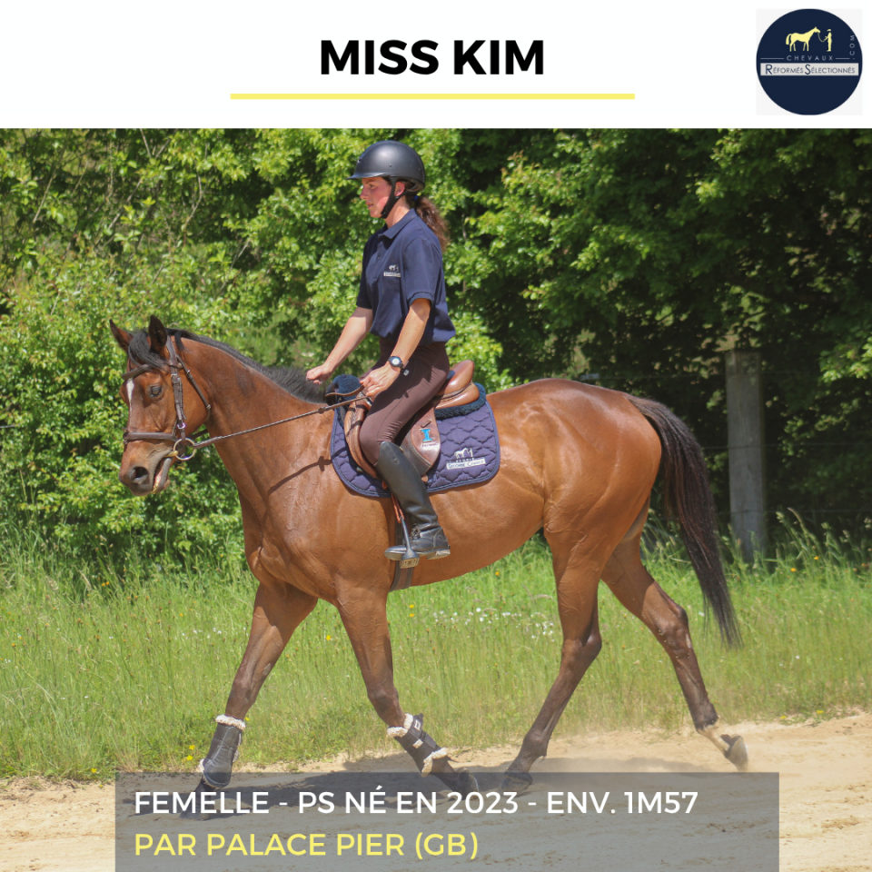 MISS KIM - PS - 3 ANS