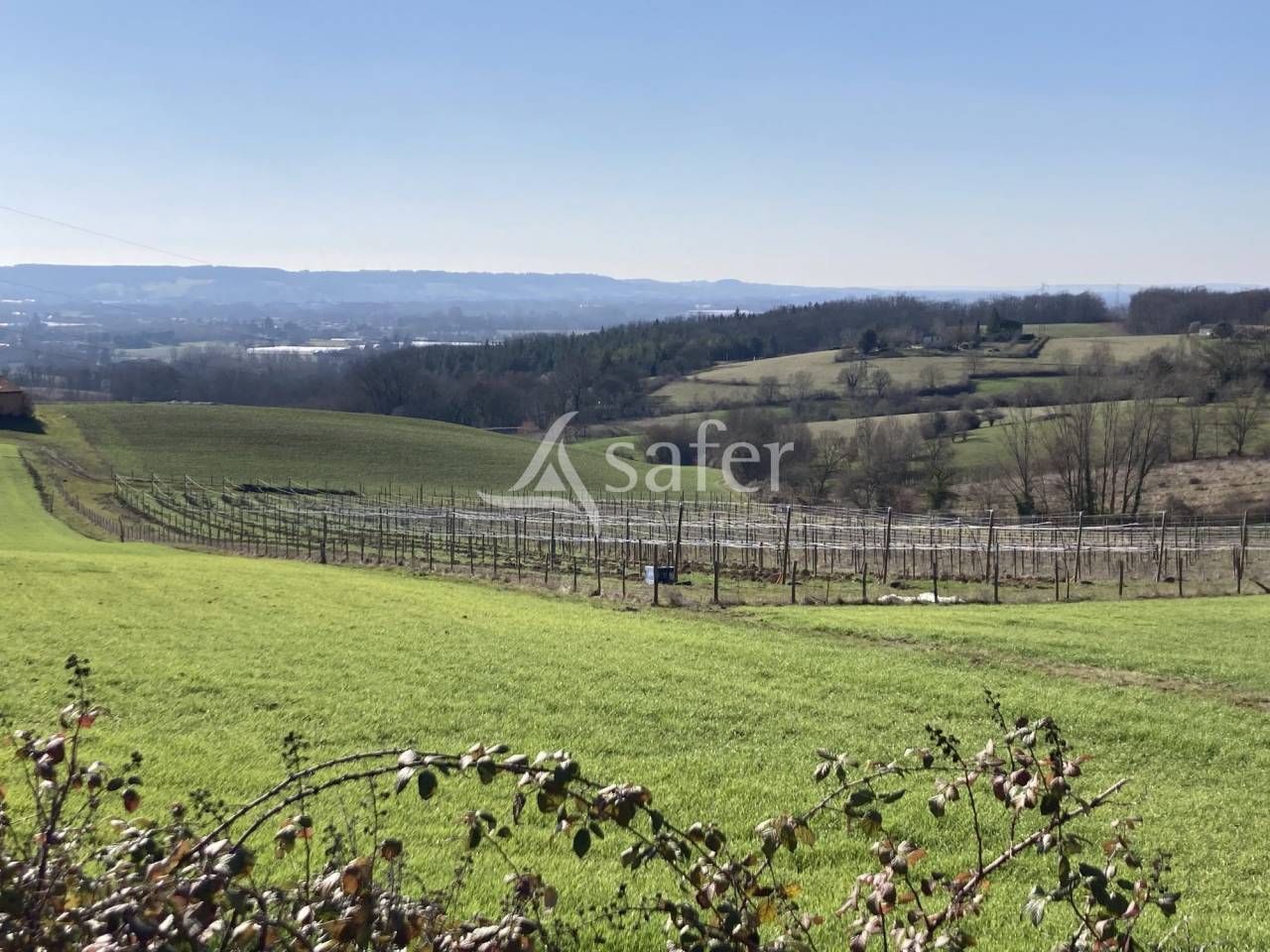 25ha de terres avec lac d'irrigation dont 5ha d'amandiers