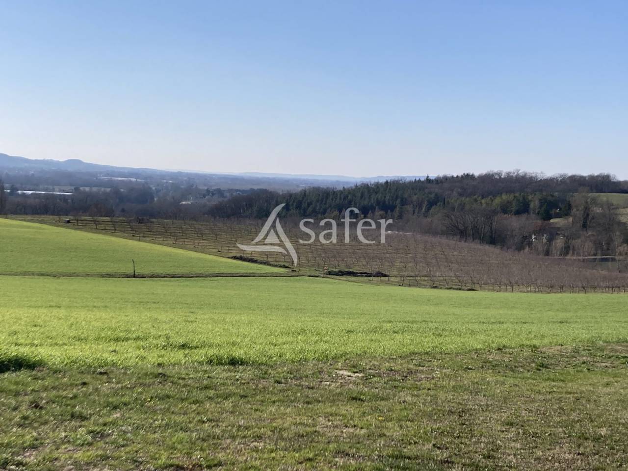 25ha de terres avec lac d'irrigation dont 5ha d'amandiers