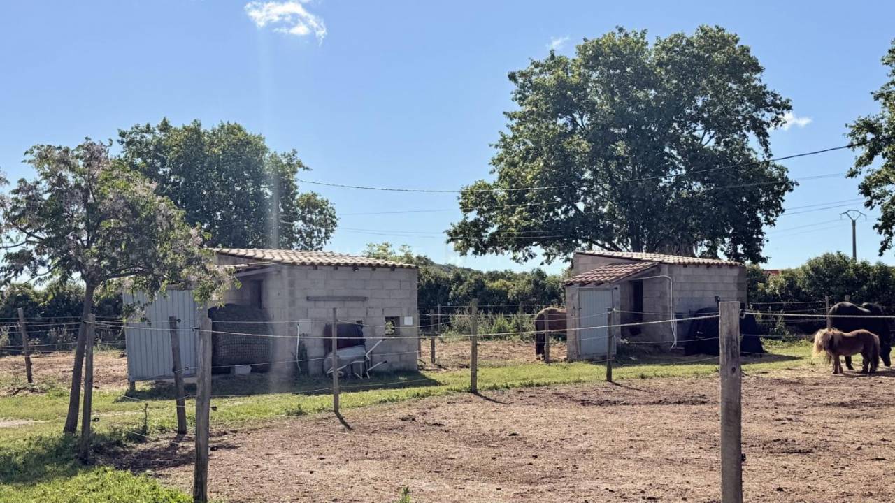 Rare- Propri&eacute;t&eacute; &eacute;questre cl&eacute; en main