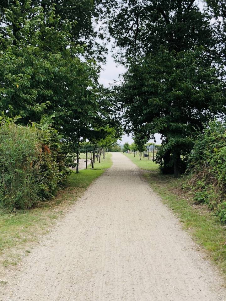 Situ&eacute;e dans le Maine-et-Loire (49), &agrave; proximit&eacute; de Saumur, ce