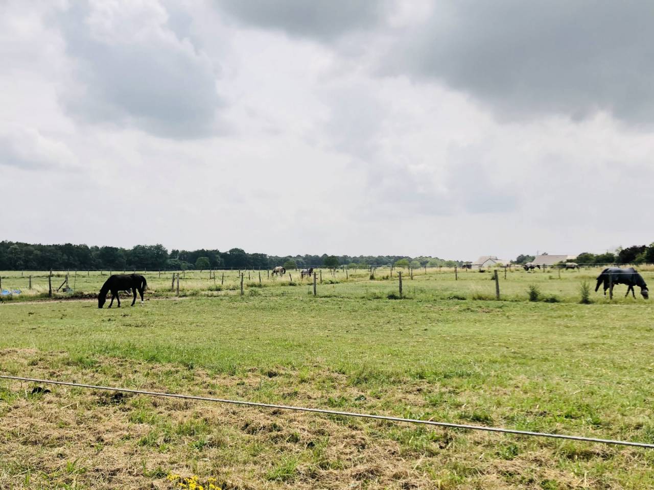 Situ&eacute;e dans le Maine-et-Loire (49), &agrave; proximit&eacute; de Saumur, ce