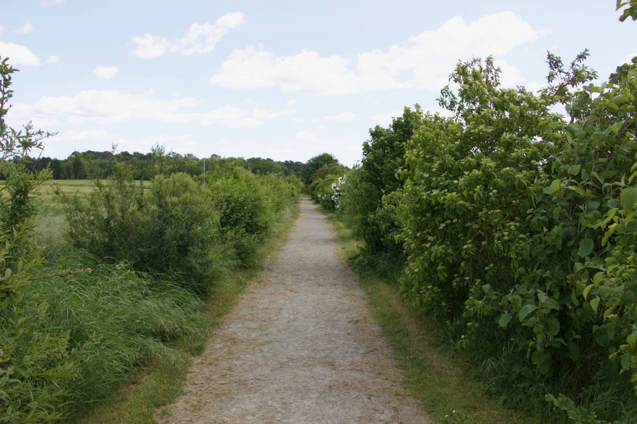 Situ&eacute;e dans le Maine-et-Loire (49), &agrave; proximit&eacute; de Saumur, ce