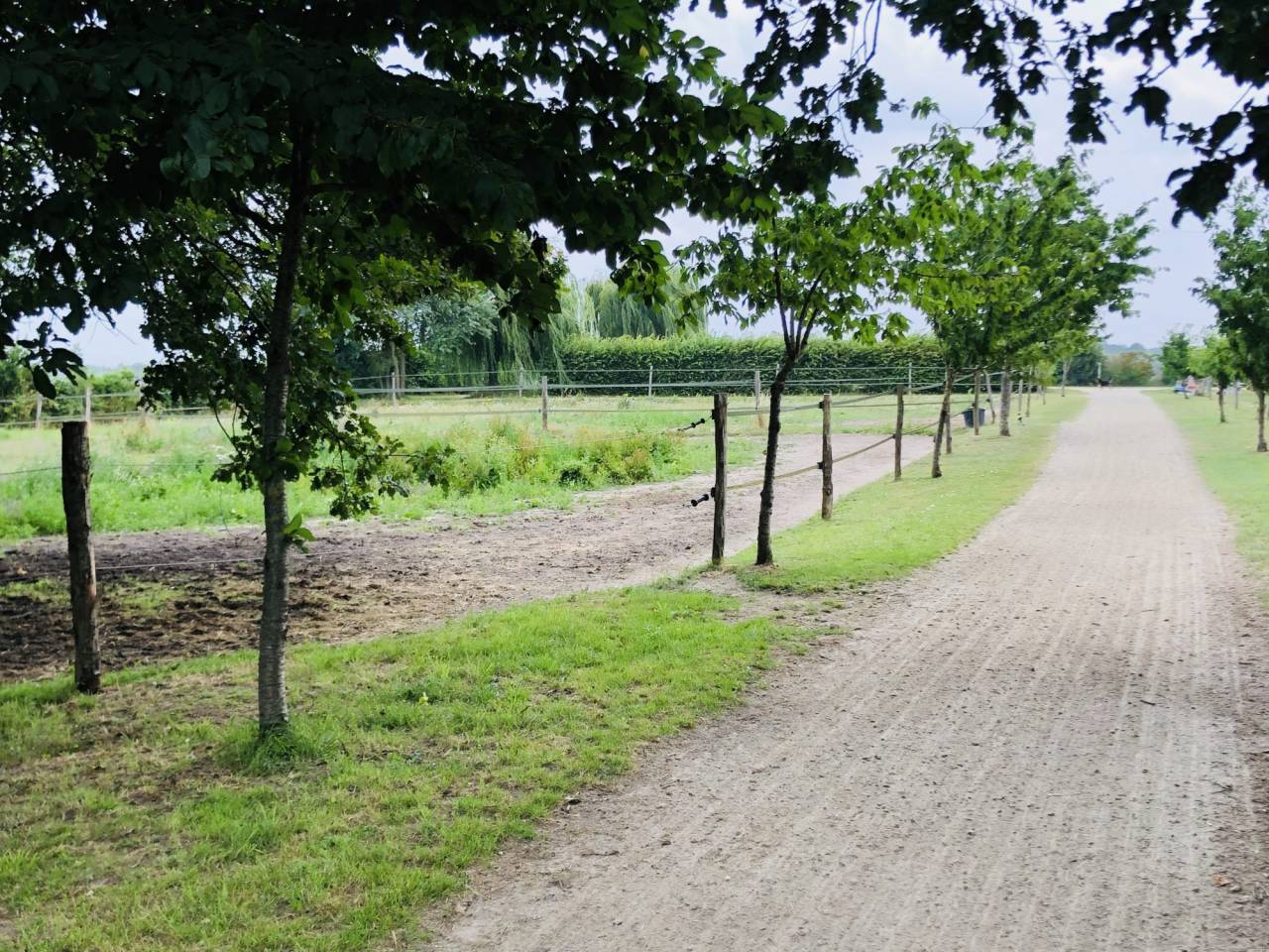 Situ&eacute;e dans le Maine-et-Loire (49), &agrave; proximit&eacute; de Saumur, ce