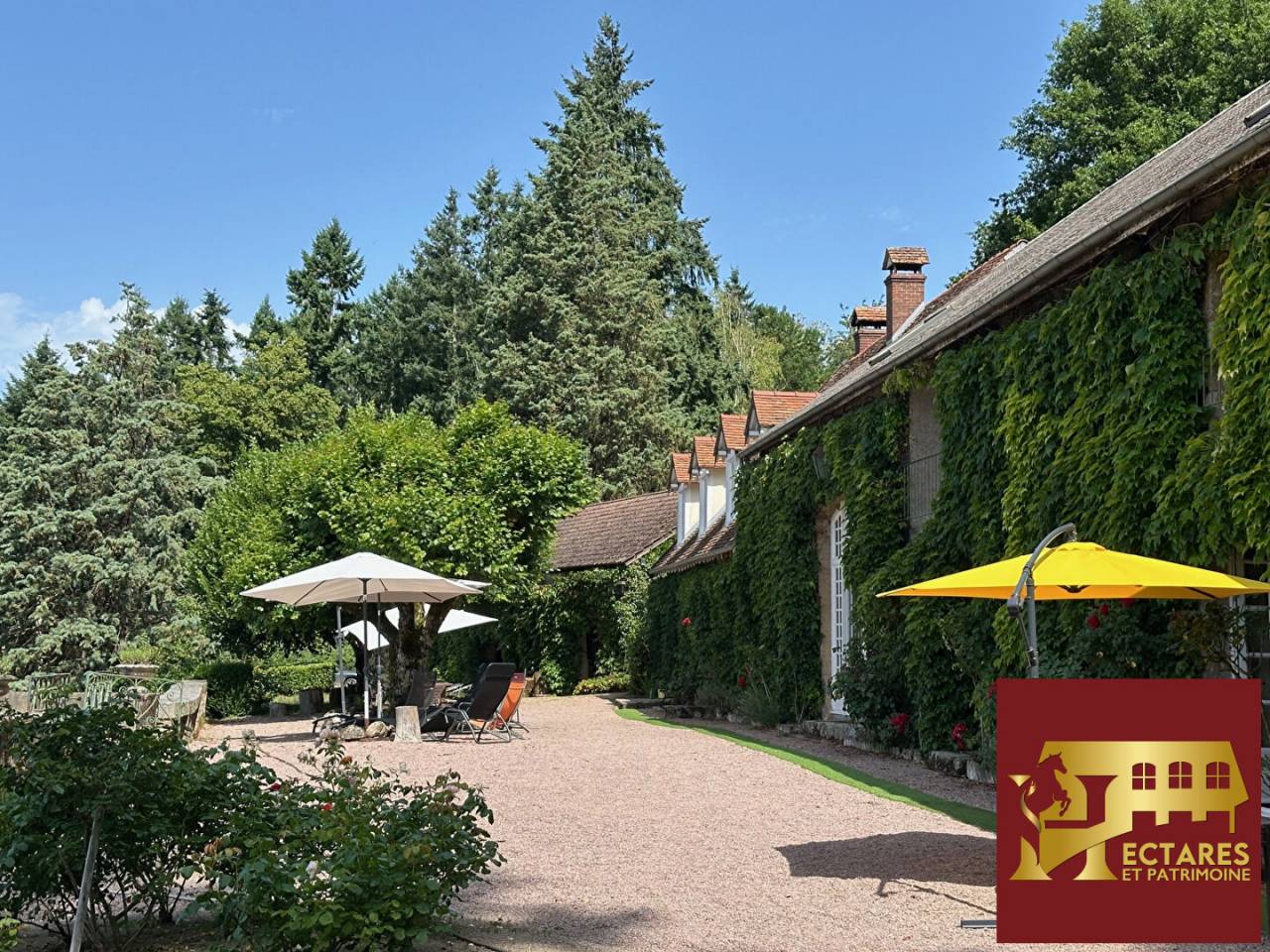 Propri&eacute;t&eacute; 6,4 hectares vue dominante