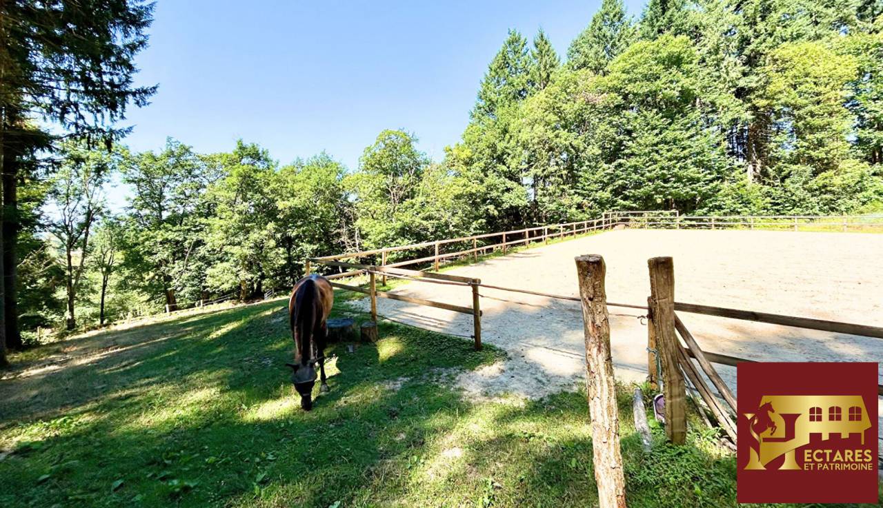 Propri&eacute;t&eacute; 6,4 hectares vue dominante