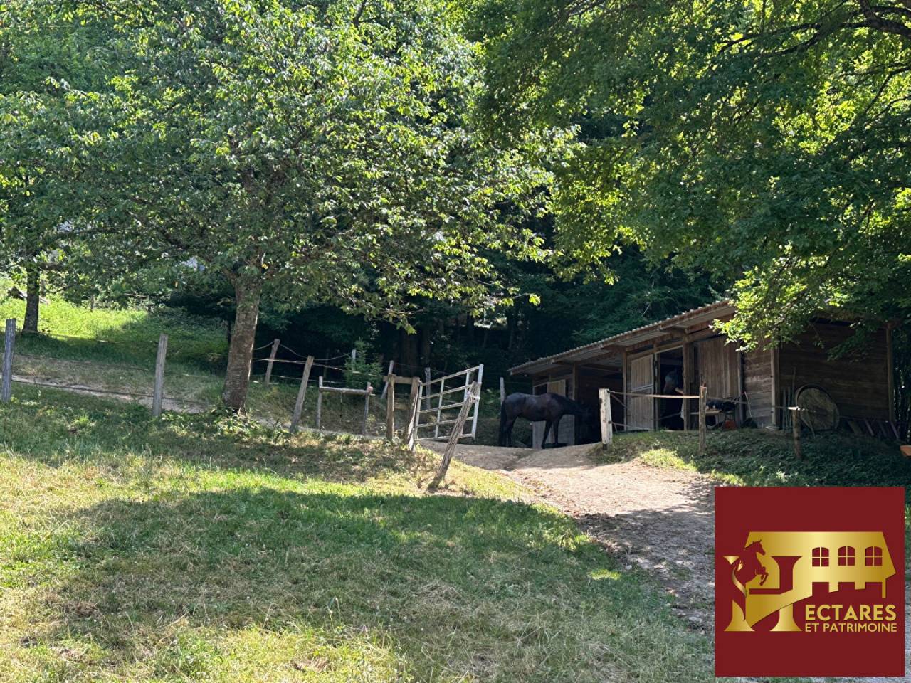 Propri&eacute;t&eacute; 6,4 hectares vue dominante