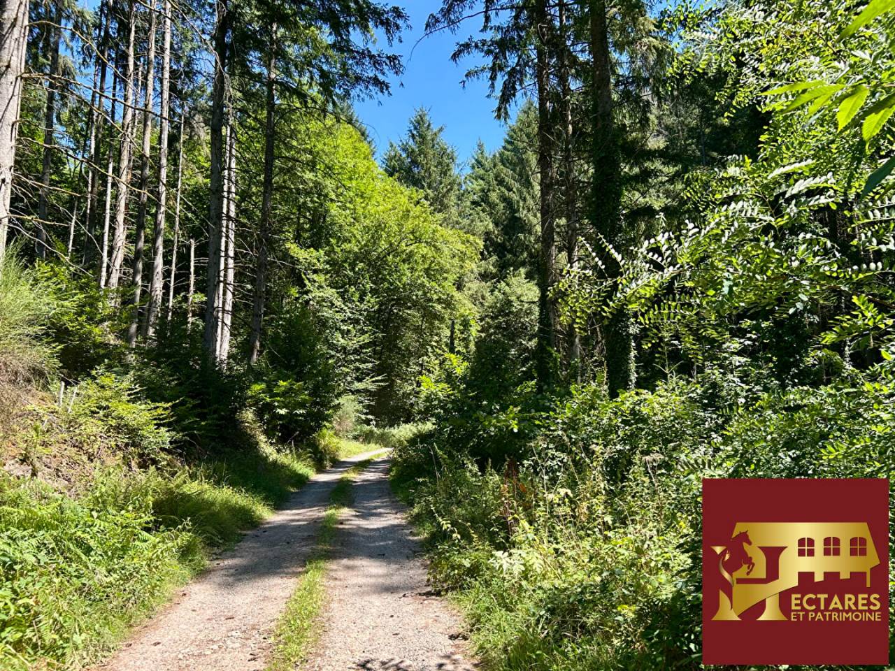 Propri&eacute;t&eacute; 6,4 hectares vue dominante