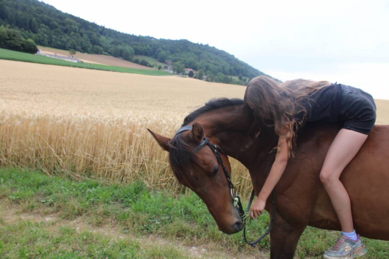 Top cheval de cso pour enfant 