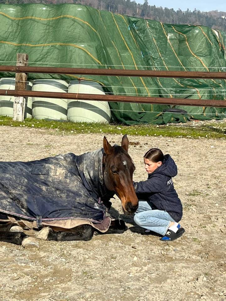 Top cheval de cso pour enfant 