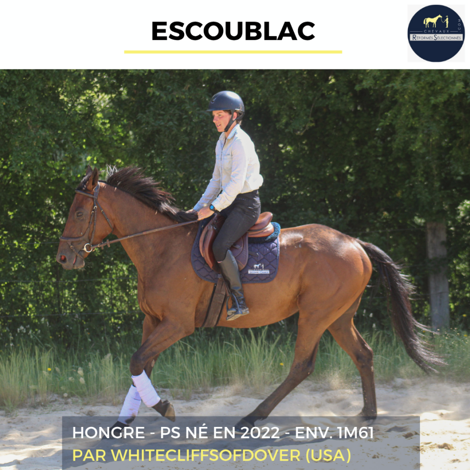 ESCOUBLAC - PS - 4 ANS