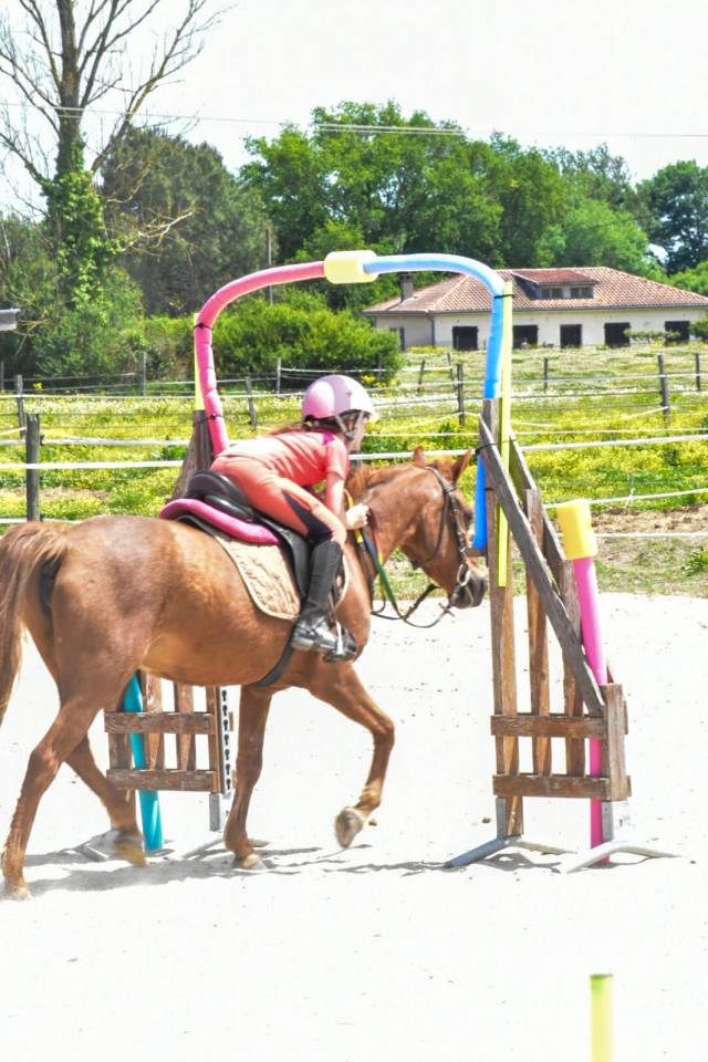 poste de moniteur d'&eacute;quitation