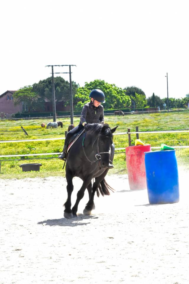 poste de moniteur d'&eacute;quitation
