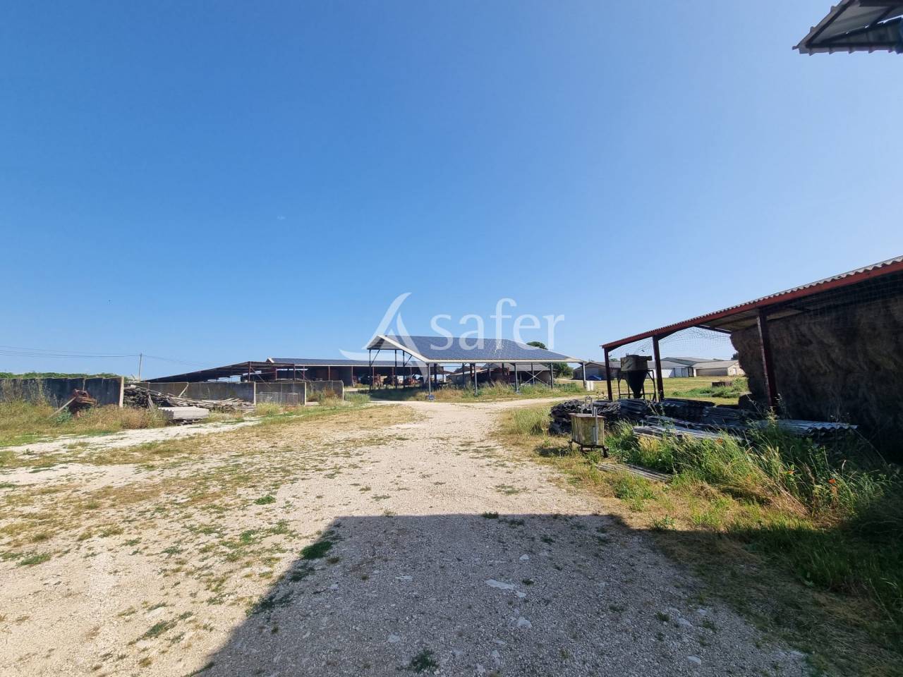 Exploitation &eacute;levage ovin et viticulture AOC Cahors sur 83 ha