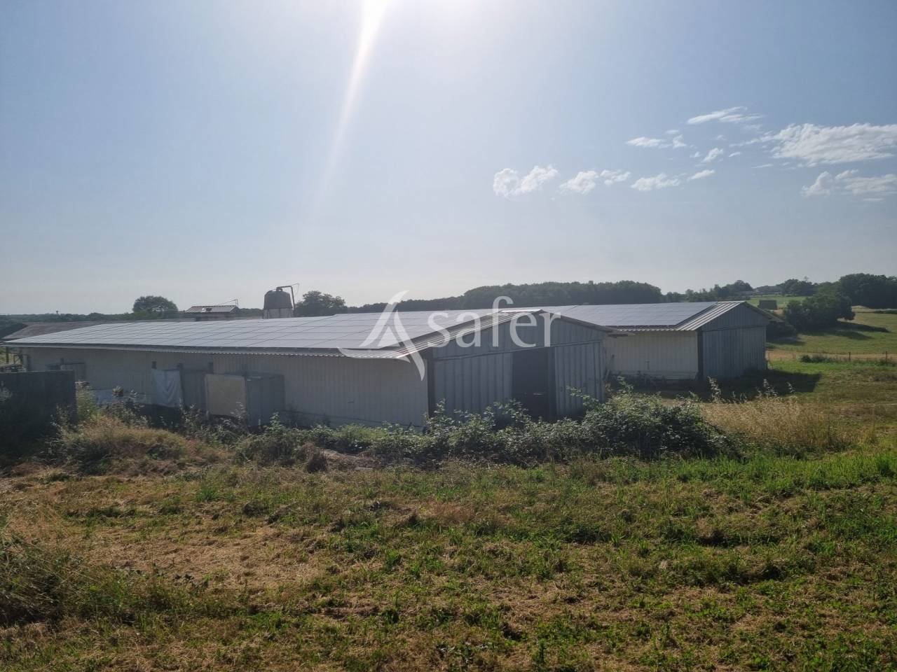 Exploitation &eacute;levage ovin et viticulture AOC Cahors sur 83 ha