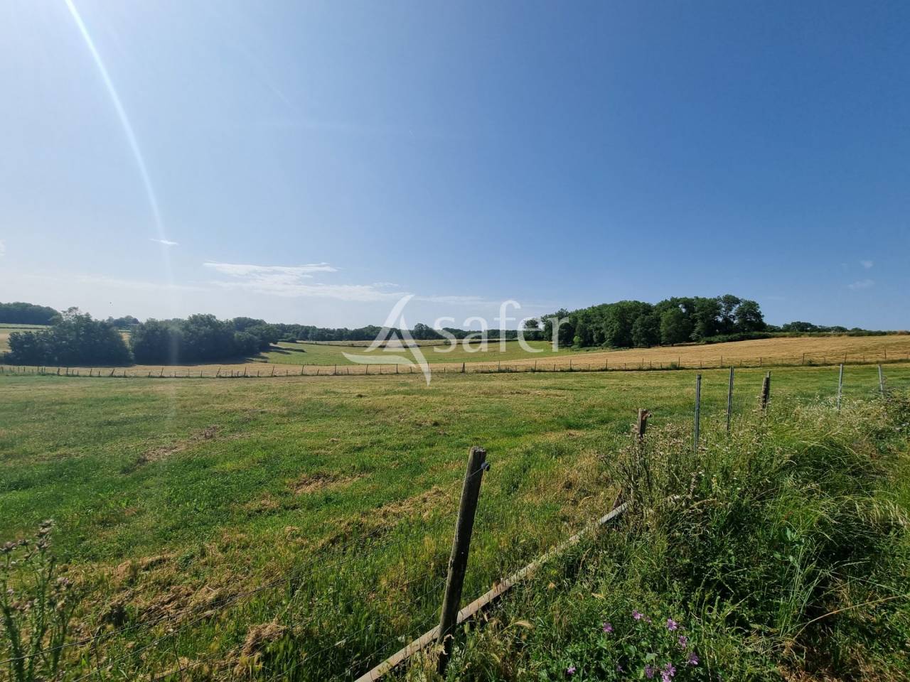 Exploitation &eacute;levage ovin et viticulture AOC Cahors sur 83 ha