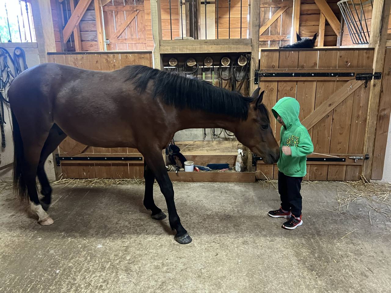 Poney D 2 ans 