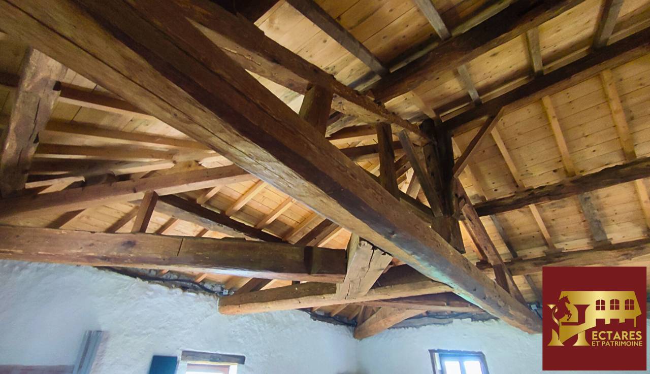 Ancien Moulin 4,3 hectares