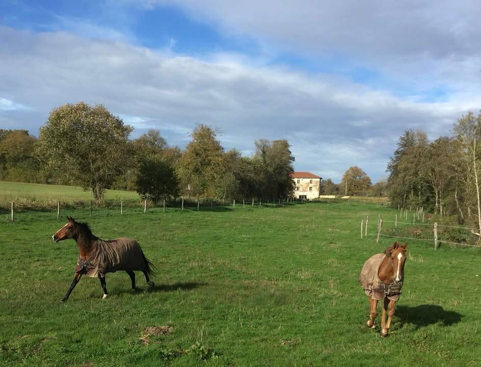 Ancien Moulin 4,3 hectares
