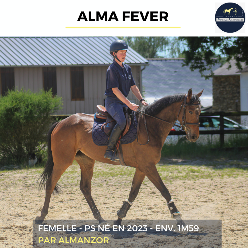 ALMA FEVER - PS - 3 ANS 
