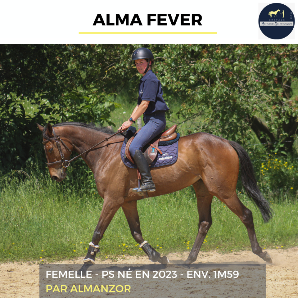 ALMA FEVER - PS - 3 ANS 