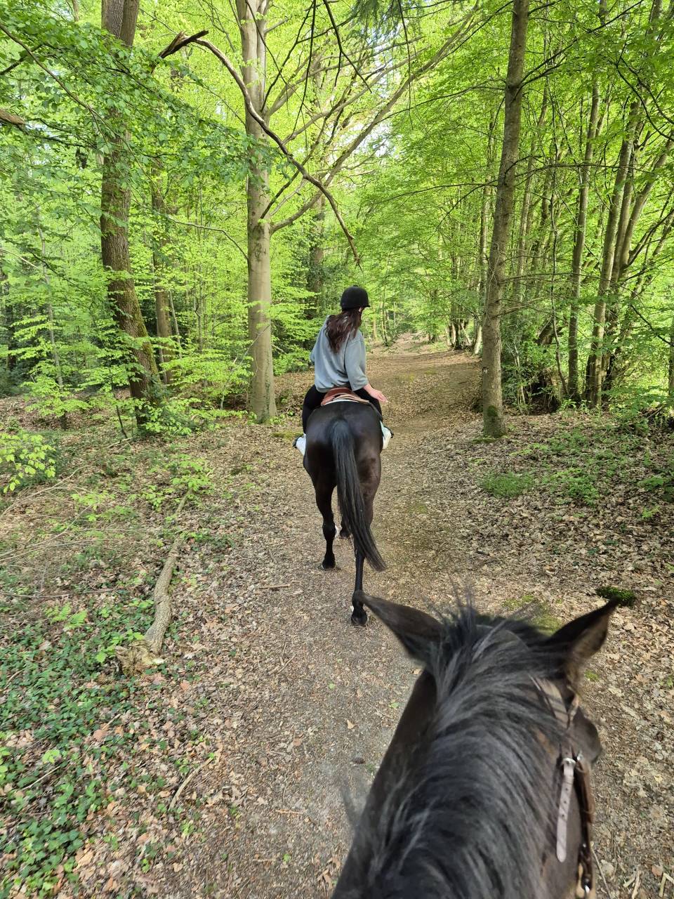 Gite &eacute;questre en Normandie