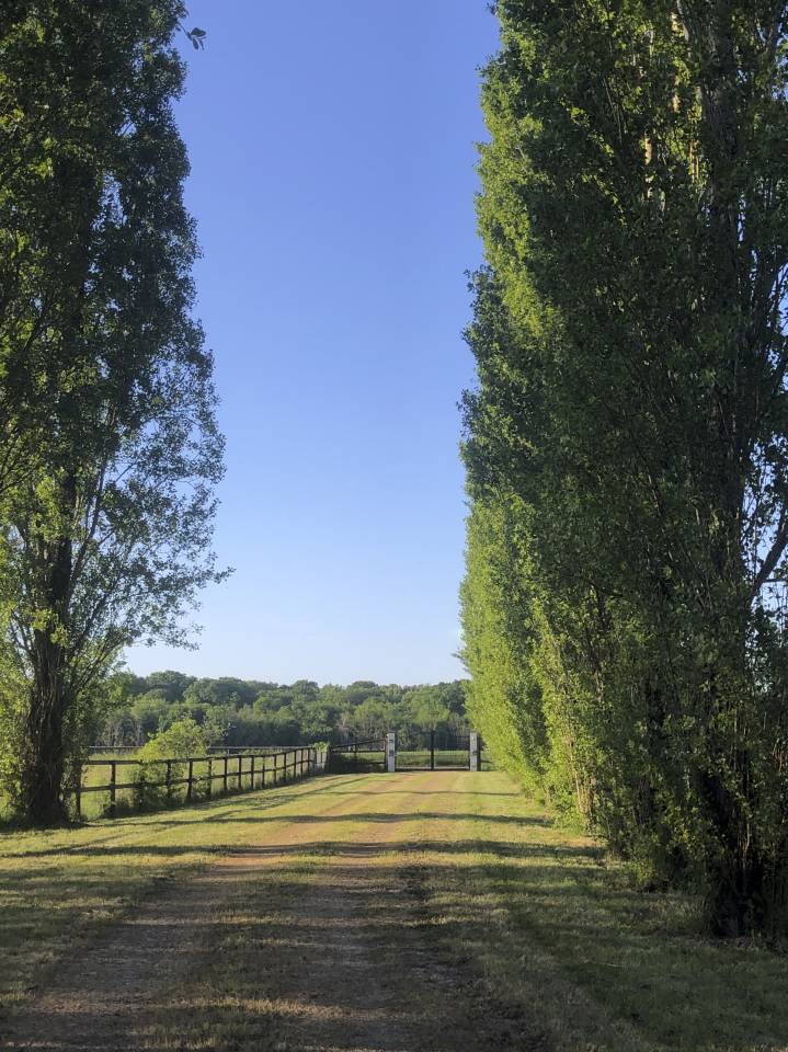 Belle propi&eacute;t&eacute; equestre &agrave; vendre 6,6 hectares 