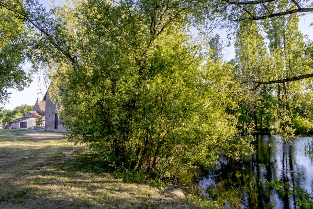 Belle propi&eacute;t&eacute; equestre &agrave; vendre 6,6 hectares 