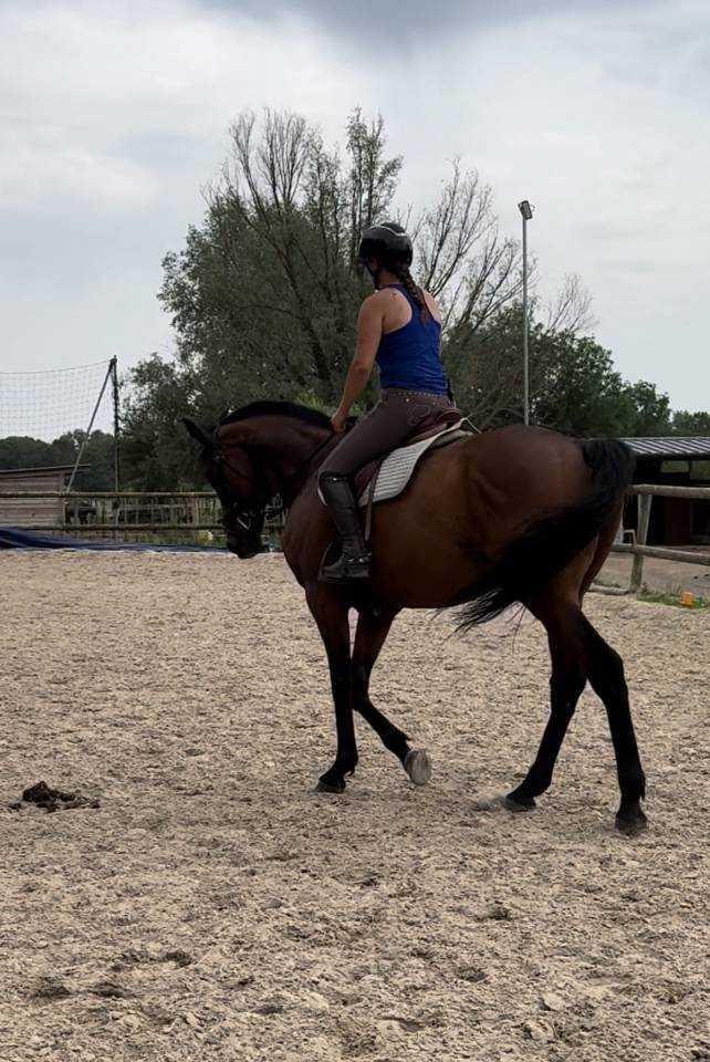 KING - 10ans - 1m70