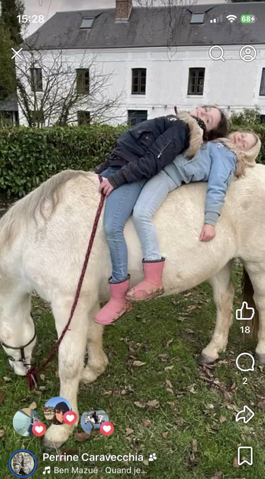 Dream des Lauzes, connemara PP, 13 ans