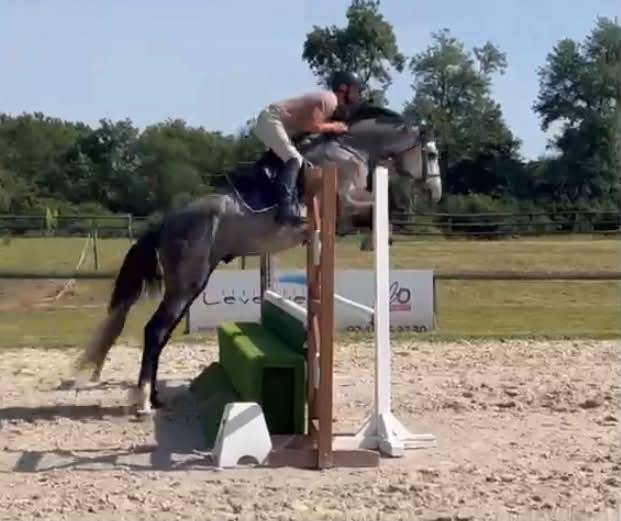 Male SF 4 ans Catchar mail x Casano