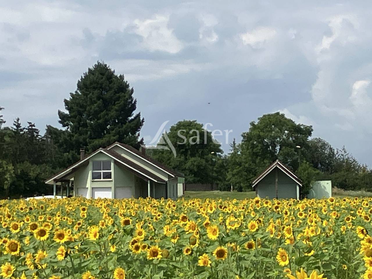 Propri&eacute;t&eacute; rurale de 3 ha - Maison moderne de 240 m&sup2; - 1 b&acirc;ti