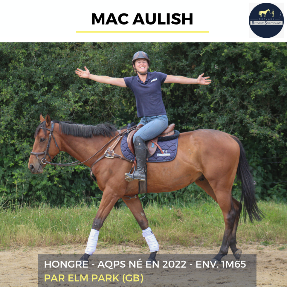 MAC AULISH - AQPS - 4 ANS
