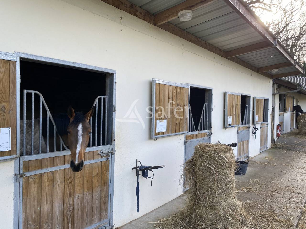 Ecurie chevaux de sport C&ocirc;te Fleurie