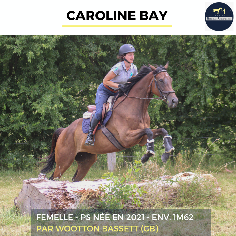 CAROLINE BAY - PS - 5 ANS