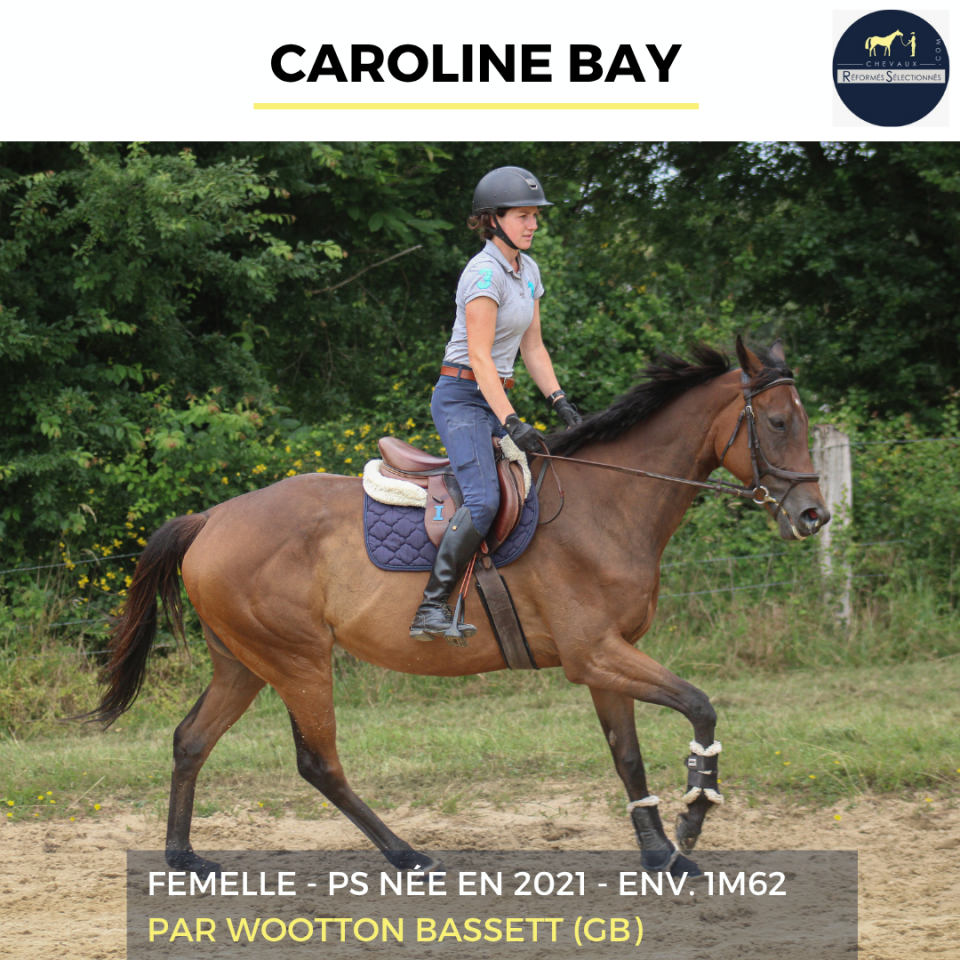 CAROLINE BAY - PS - 5 ANS