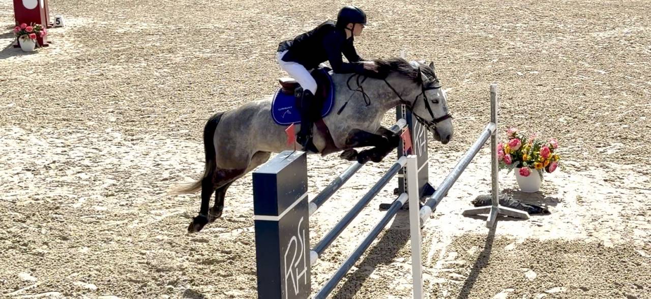 Hongre 9 ans - CSO AS