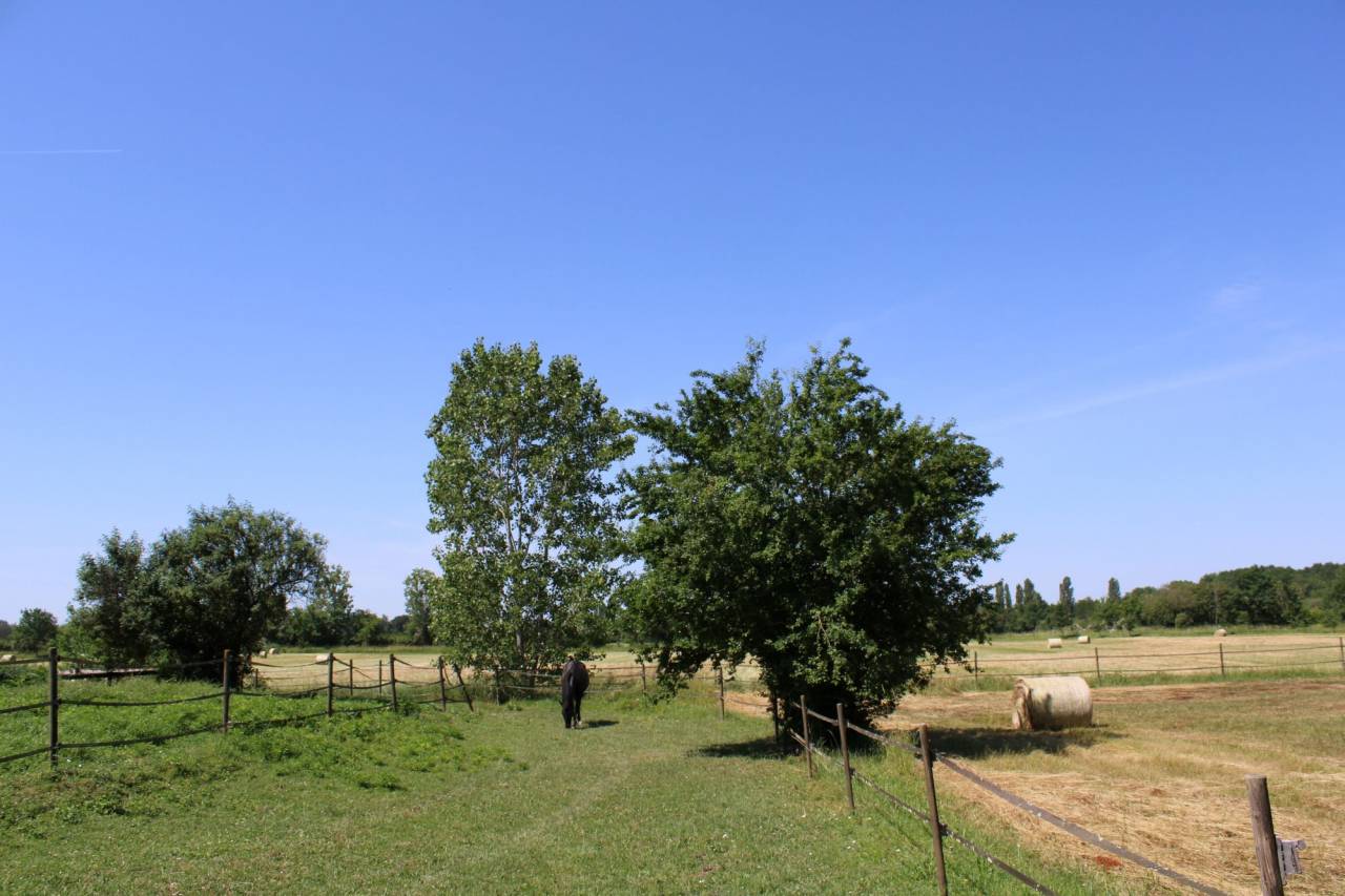 PROPRIETE DE 10 HECTARES AVEC MAISON TARN ET GARONNE