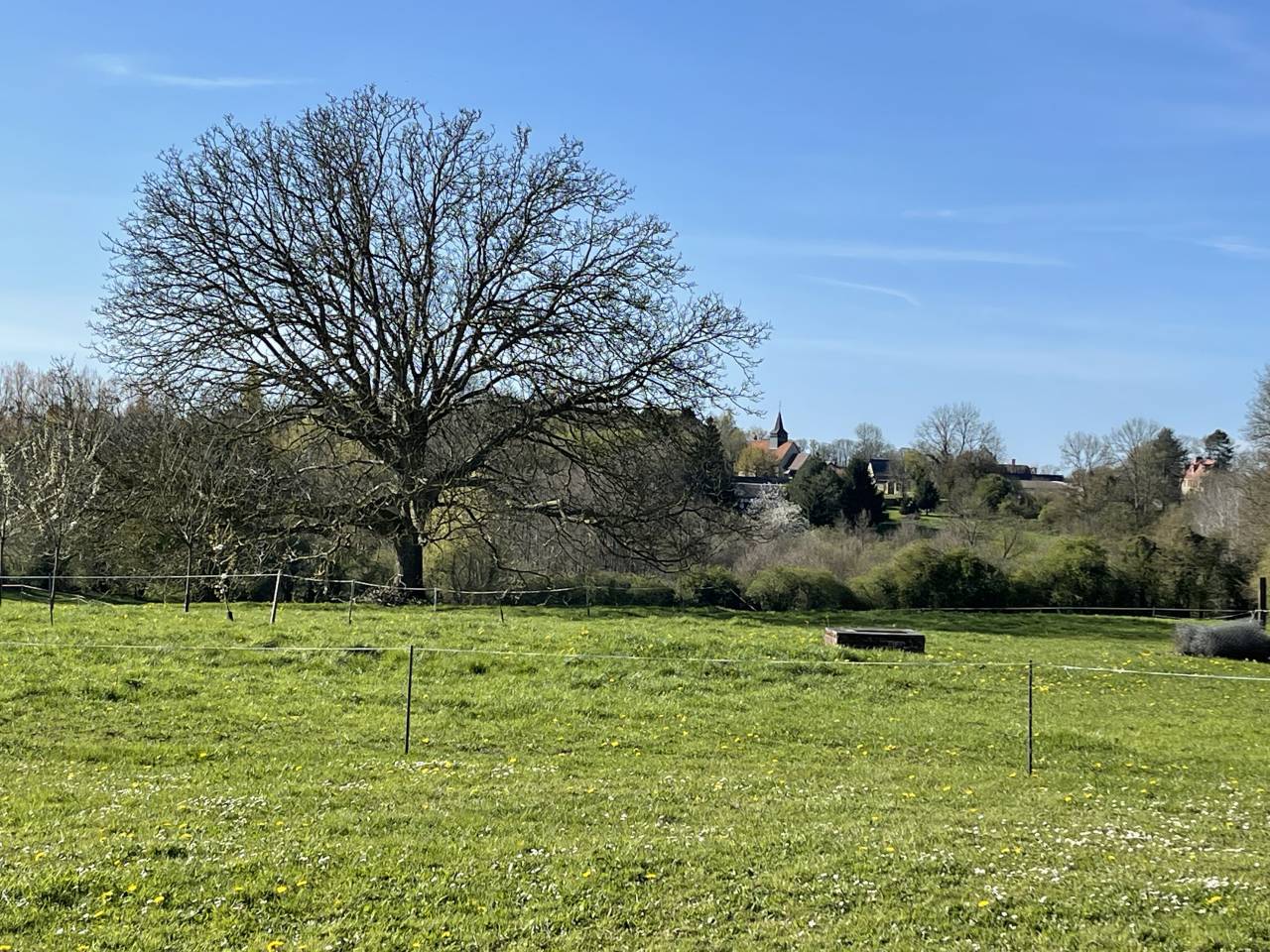 Palefrenier soigneur + entretien espaces verts
