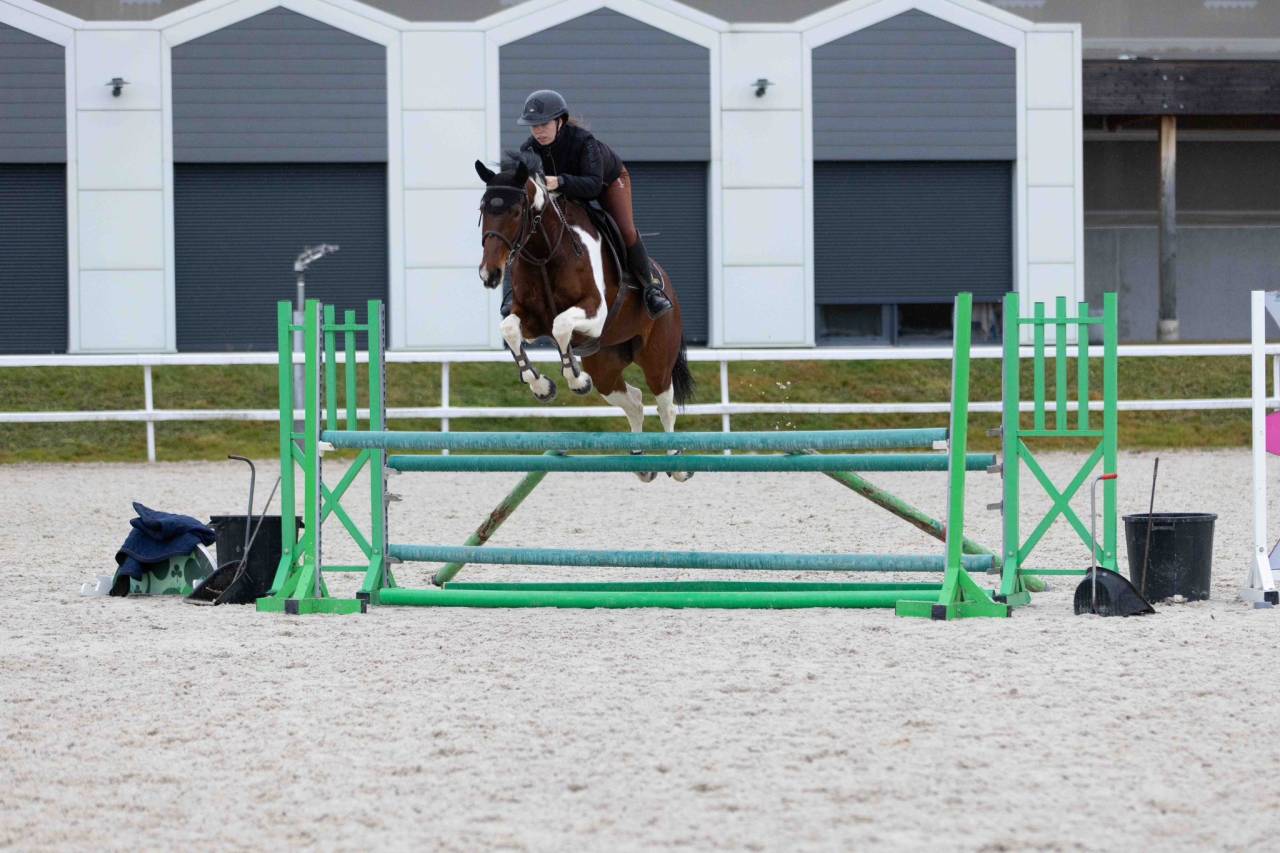  Jument CSO 10 ans &ndash; Zangersheide 