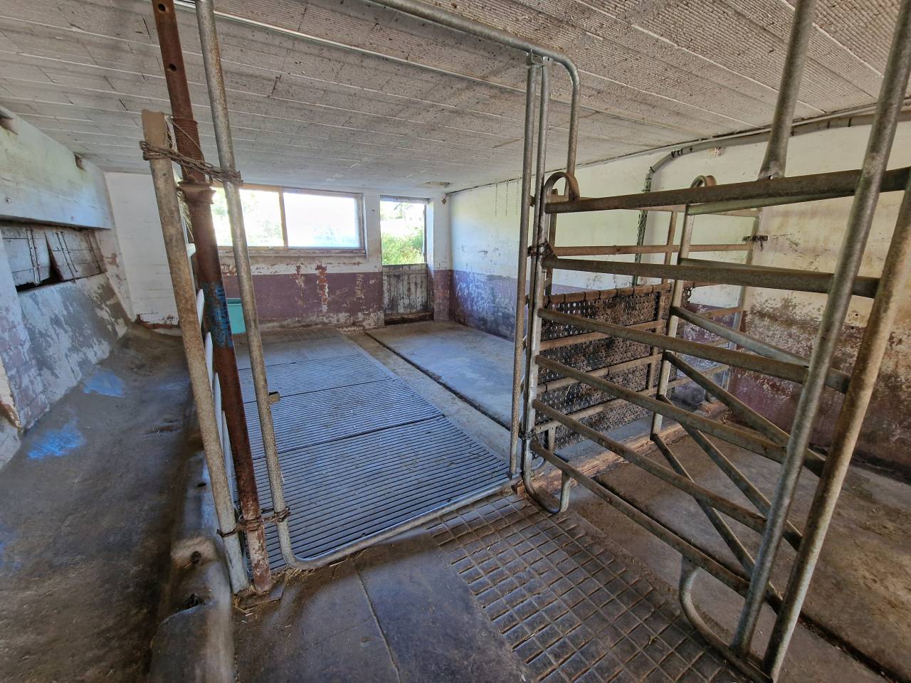 Pension boxe / pr&eacute; - Ecurie &agrave; fuyens
