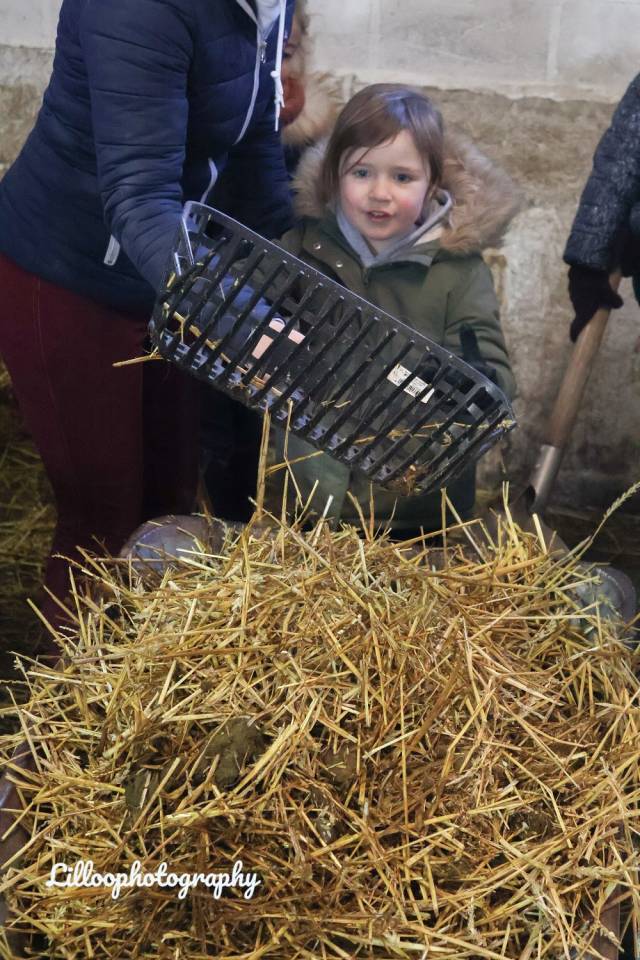 Stages d'&eacute;t&eacute; au Poney club de Buisseret