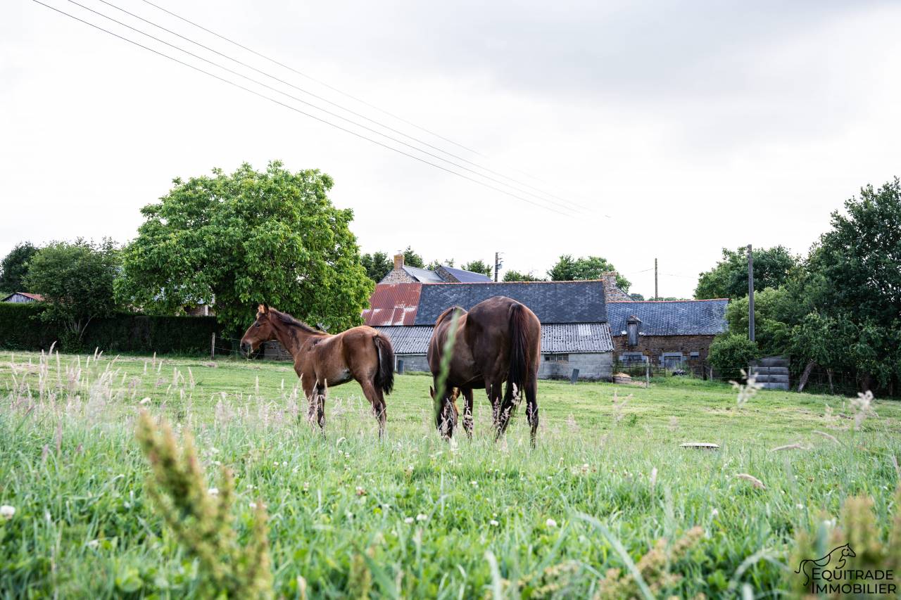 Propri&eacute;t&eacute; avec maison et d&eacute;pendances, 1ha50