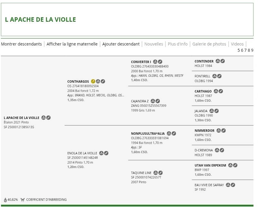 Poulain 2026 top origines 