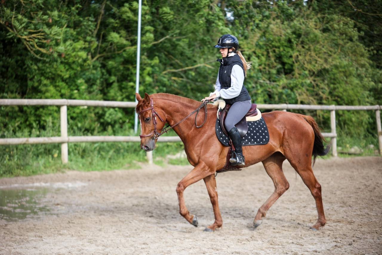 MOUDA - 1m64 - 5ans