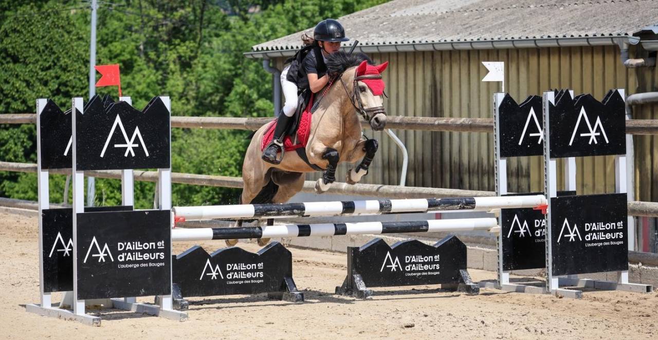 A vendre Poney B - PFS - CSO