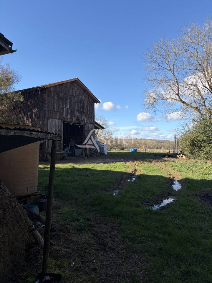 Propri&eacute;t&eacute; agricole avec 2 maisons sur 21ha