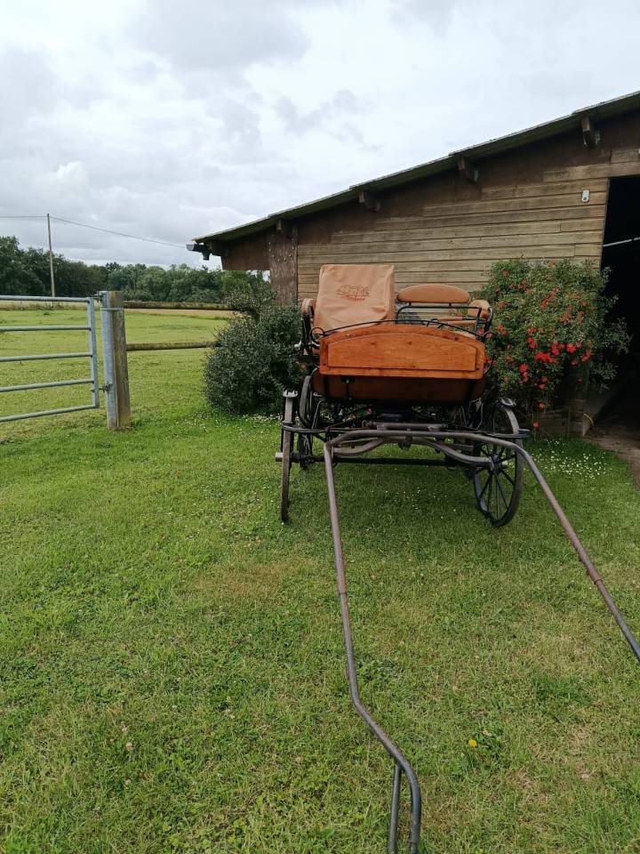 Voiture wagonette loisir