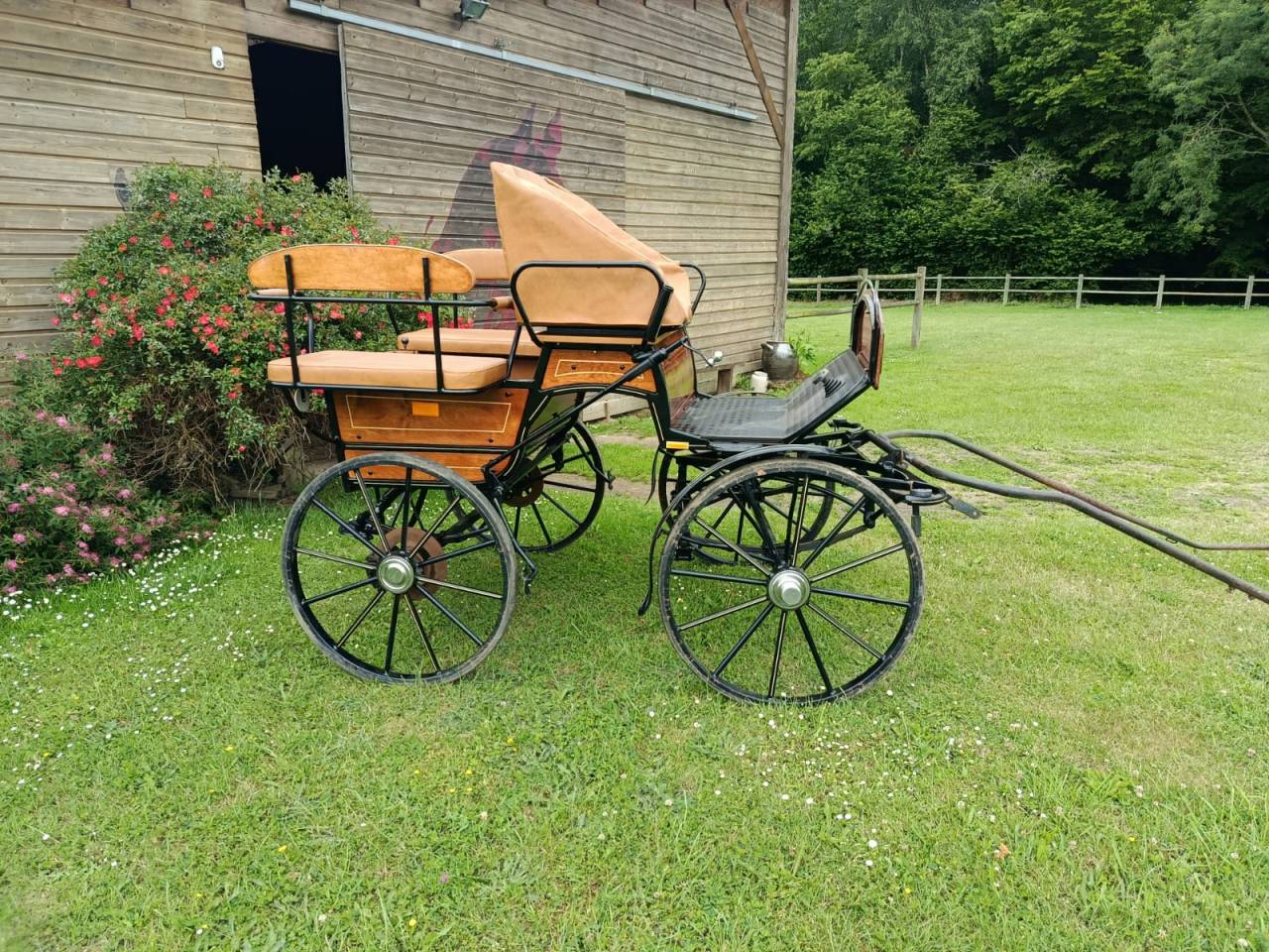 Voiture wagonette loisir