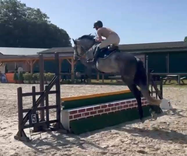 Male SF 4 ans Catchar mail x Casano